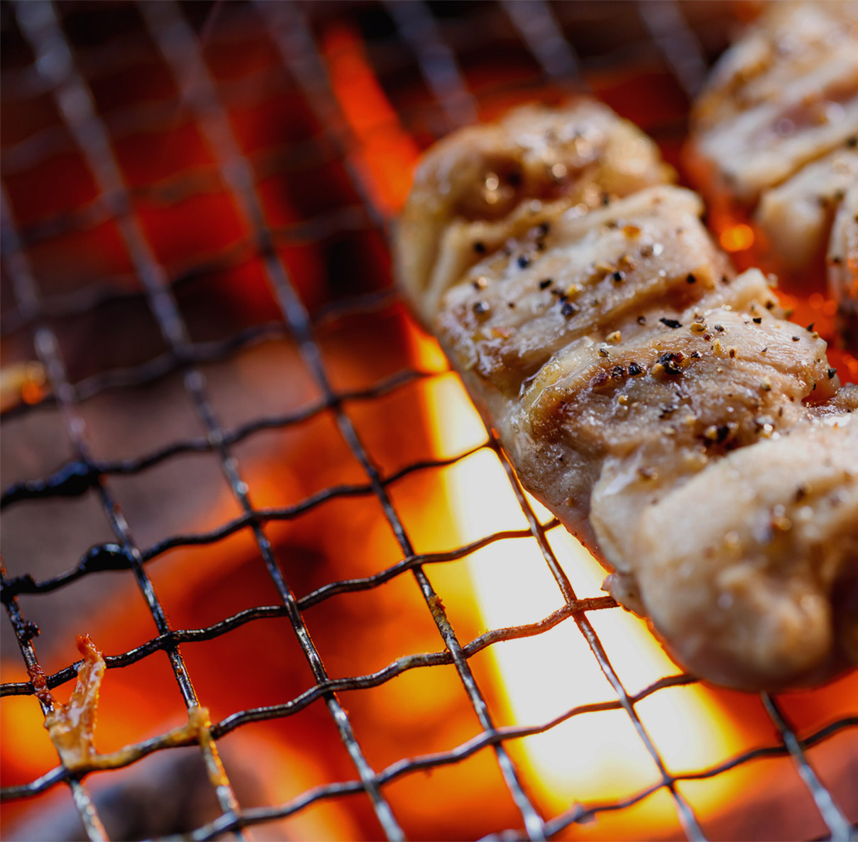 獨領風燒台南平價燒肉提供雞、豬、牛肉、海鮮，不怕只有單一選擇，每一種都享受到